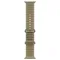 Умные часы Apple Watch Ultra 4 49 мм Natural Titanium Ocean Band Болотный Translucent Kelp