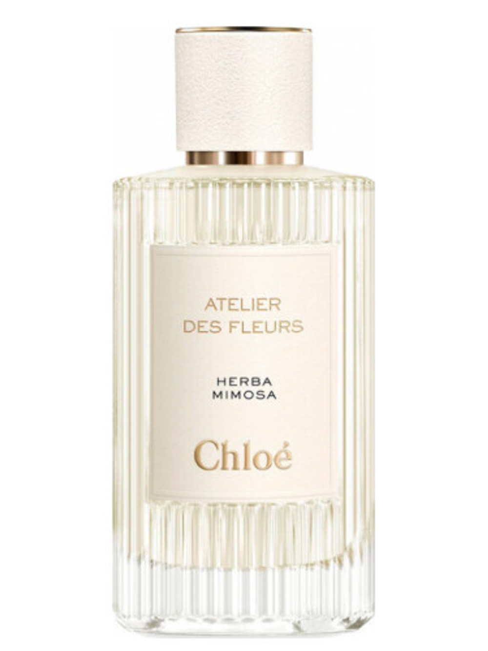 Chloé Herba Mimosa