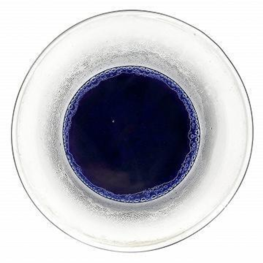 Голубая Матча (蓝色抹茶)