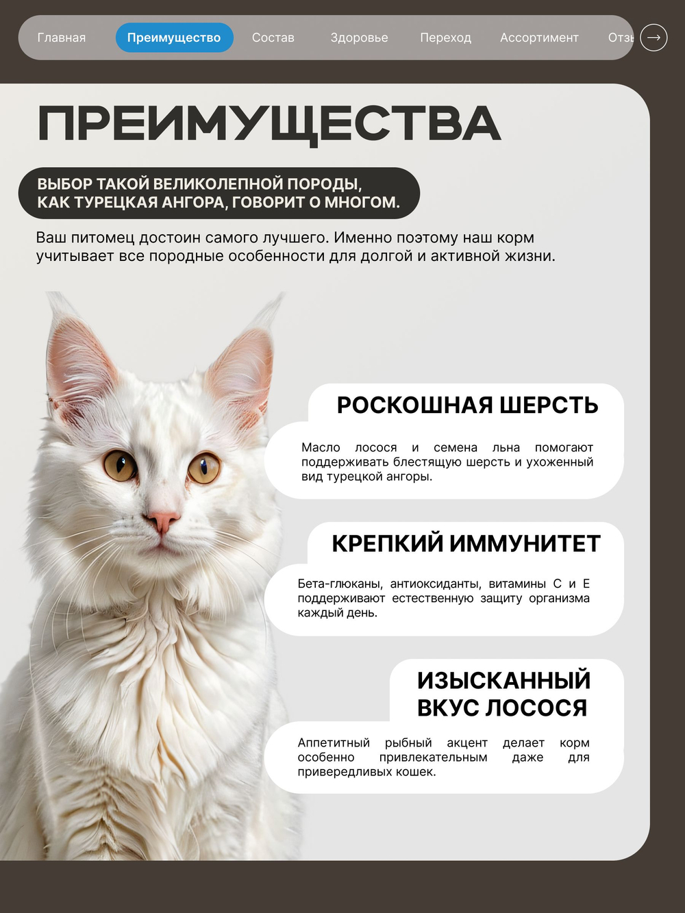 Корм сухой для взрослых кошек породы Турецкая ангора, с лососем, 5 кг, QUATTRO