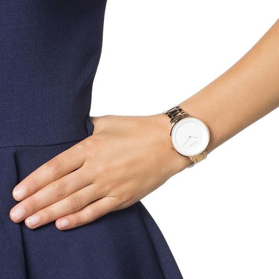 Женские часы Skagen SKW2331