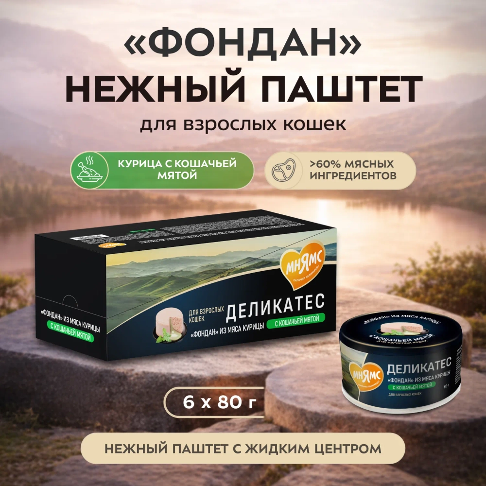 Влажный корм Мнямс Деликатес "Фондан" из мяса курицы с кошачьей мятой для кошек 6 шт по80 г