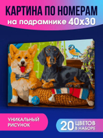 Картина по номерам 30х40см. "Собачки разных пород" 20цв. ( Арт. ХК-6604)