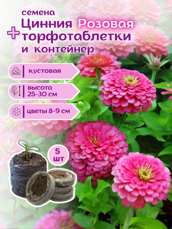 Семена Цинния низкорослая, кустовая, розовая Джульетта, семена Циния + торфяные таблетки Jiffy в подарок, 5 шт