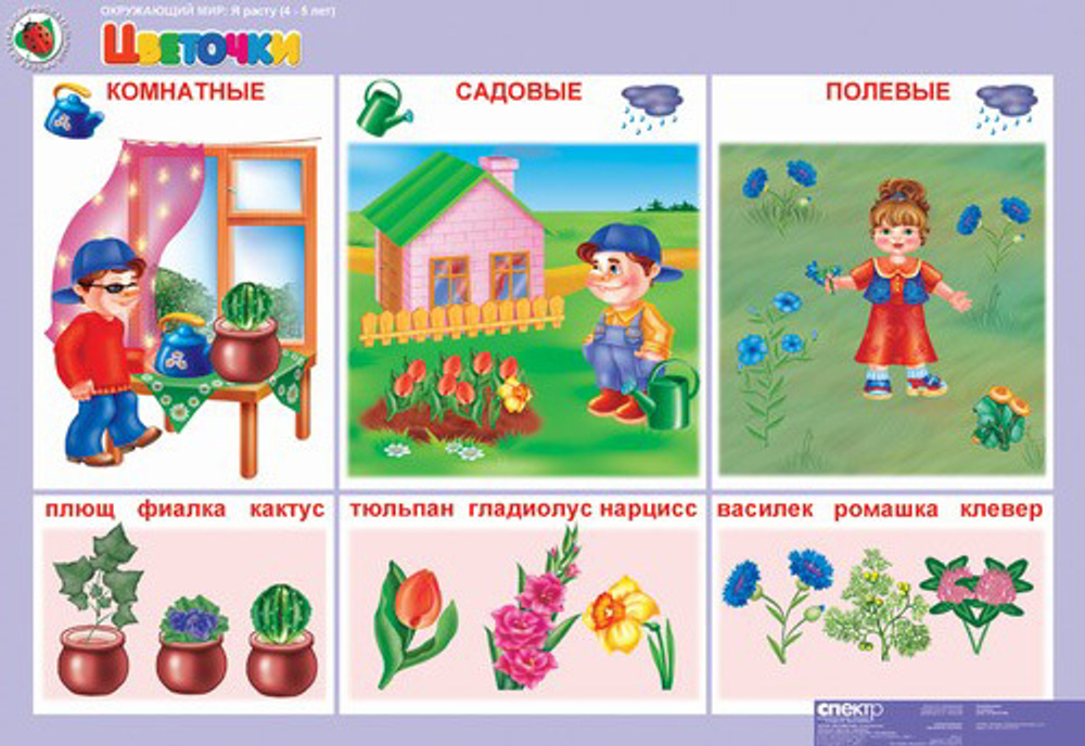 Комплект таблиц Окружающий мир 4-5 лет. "Я расту". (11 таблиц+16 карт.)