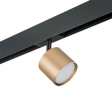 Комплект со светильником 1*GХ53 220V PRO3490 золото Rullo Pro Lightstar