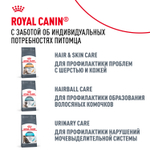 Royal Canin Siberian Adult Сибирская Эдалт Корм сухой для взрослых кошек сибирской породы от 1 года и старше 400г