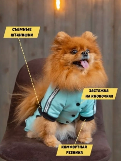 Спортивный комбинезон костюм для собак