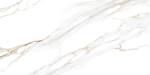 Настенная плитка ALMA Ceramica TWU09DBL004 Dublin 50x24.9 белая глянцевая под камень