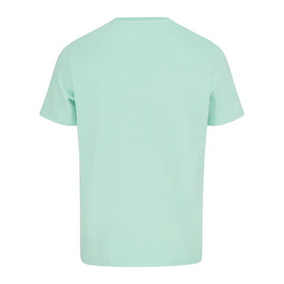Мужское теннисное поло HEAD Motion T-Shirt Men - Green