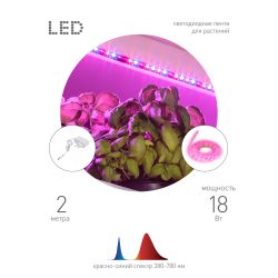 Светодиодная лента для растений ЭРА FITO-Strip Light-RB-2m красно-синего спектра, 2 м, IP65 с адаптером 12V в комплекте | Светодиодные ленты для растений
