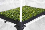 Пропагатор для рассады GARDEN HIGHPRO PROBOX PROPAGATOR L