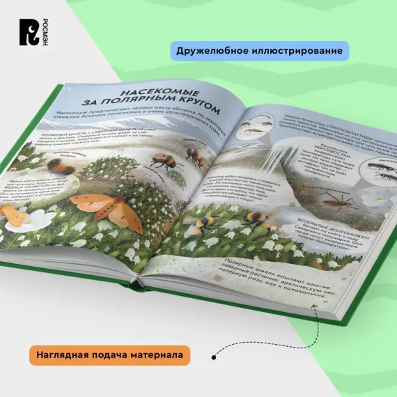 Детская энциклопедия насекомых