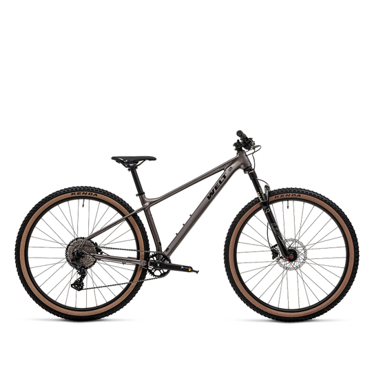 Велосипед Welt Rambler 1.0 29