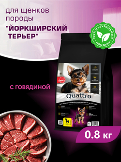 Корм сухой для щенков породы Йоркширский терьер, с говядиной, 800 гр, QUATTRO