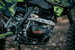 Z1 Neon Raven