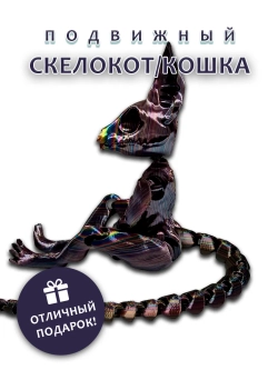 Скелет Кошки