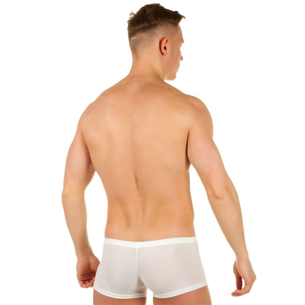 Мужские трусы-хипсы из ткани с текстурой змеиной чешуи Snake White Boxer (Размер: M) (Цвет: белый)