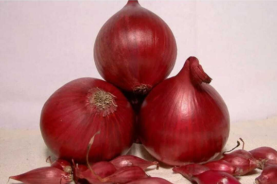 Ред Барон семена лука репчатого продукт – фото 1