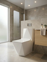 Унитаз моноблок безободковый 111 Diamond Figo Р Trap