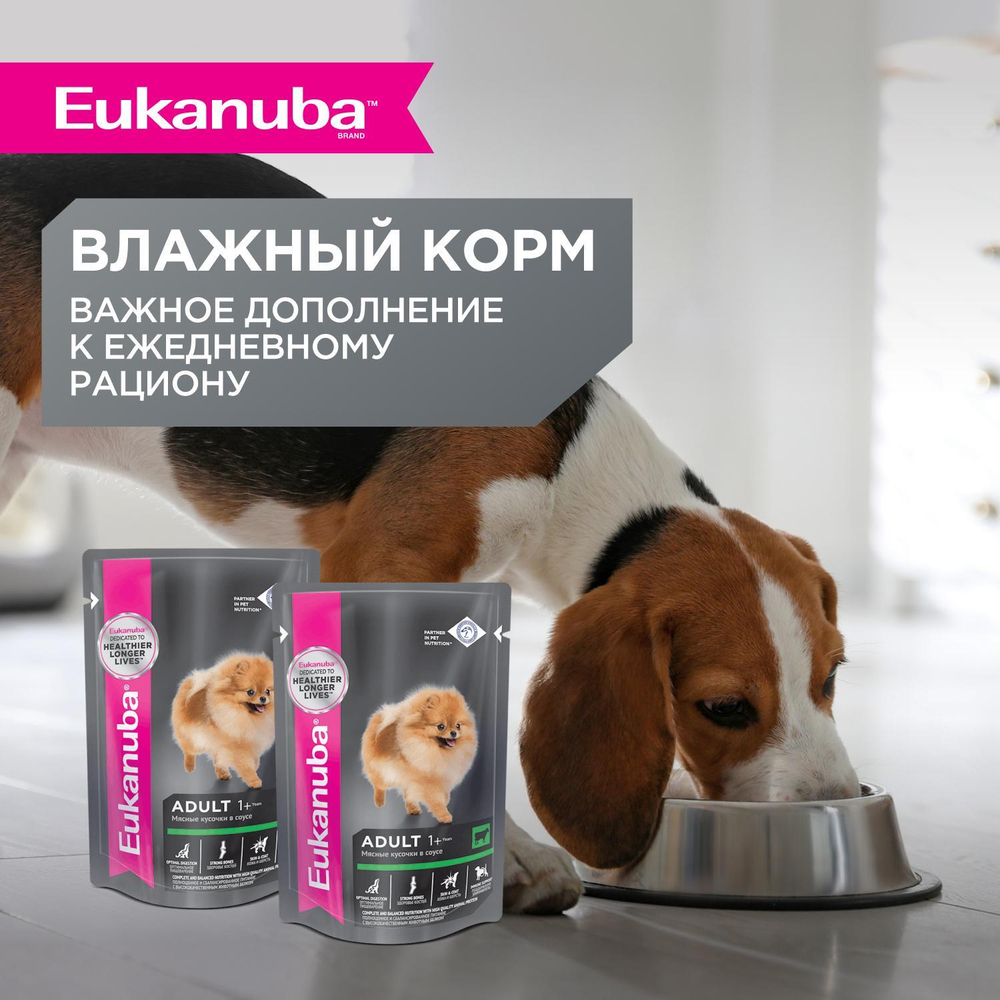 Сухой корм Eukanuba Adult Toy Breed 1+ years для взрослых собак миниатюрных пород с курицей 1,5 кг