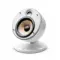 Focal DOME SAT 1.0 FLAX White