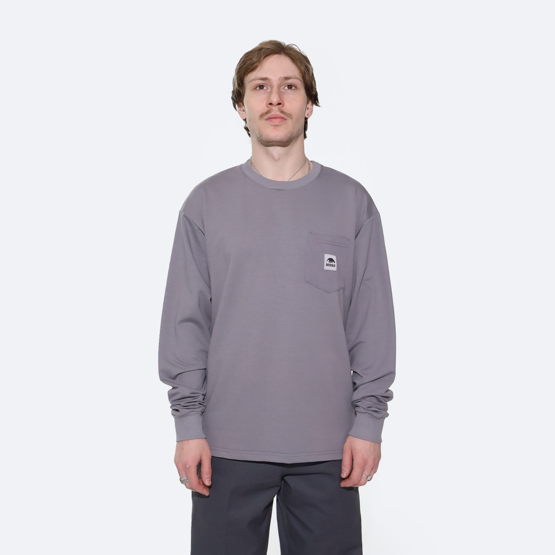 Купить Лонгслив Anteater Long100 (grey)