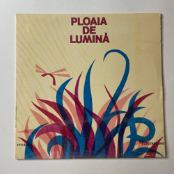 Винтажная виниловая пластинка LP Formatia Continental si Grup 5T Ploaia De Lumina (Румыния 1982)