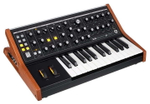 Moog Subsequent 25