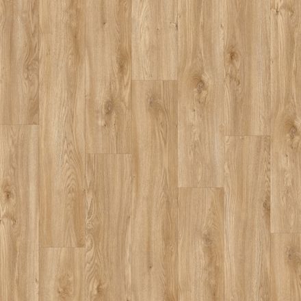 Sierra Oak 58346
