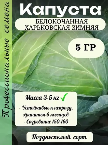 Семена капуста белокочанная Харьковская зимняя 5 гр