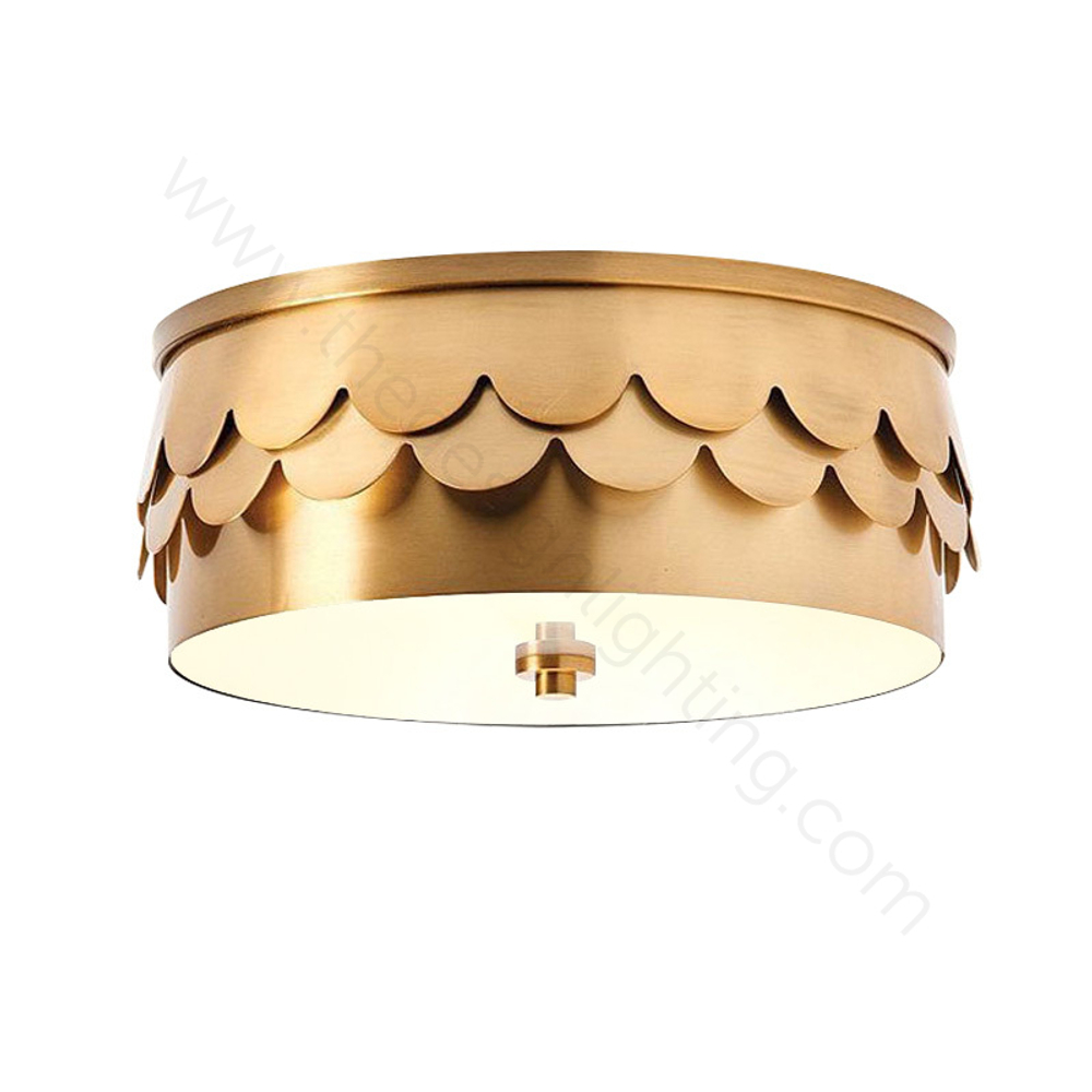 Ceiling design lamp    Paszab
