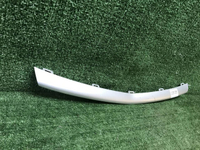 Молдинг решетки радиатора Geely Coolray (19-24)