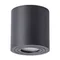 Потолочный светильник уличный Galopin A1460PL-1BK Arte Lamp