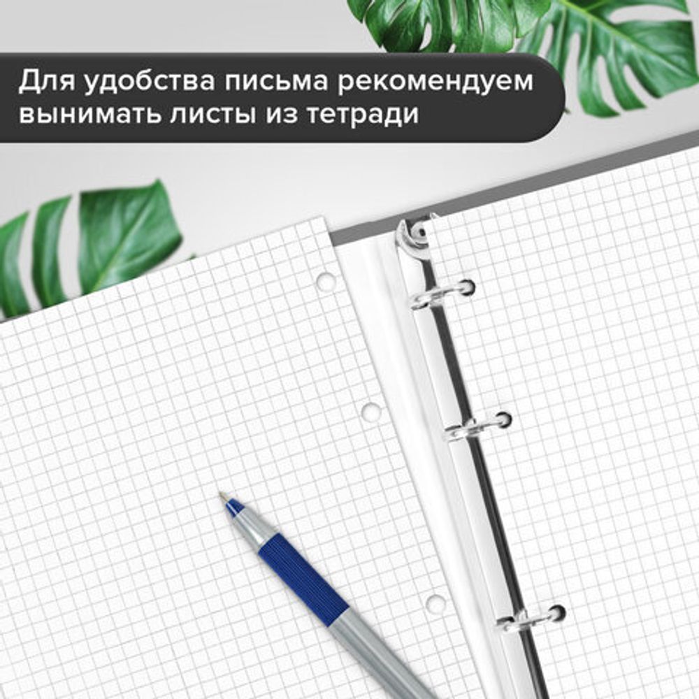 Тетрадь на кольцах БОЛЬШАЯ А4, 215х305 мм, 100 л., твердый картон, клетка, BRAUBERG, "Monocolor", 405409