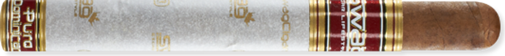 Swag Quickie Corona