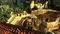 Xbox 360 Risen (Б/У, Английская версия)