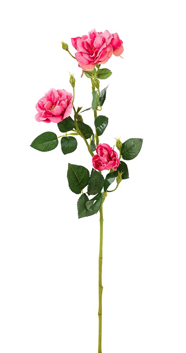 Веточка декоративная Fiebiger Floristik: Шиповник l=68 см