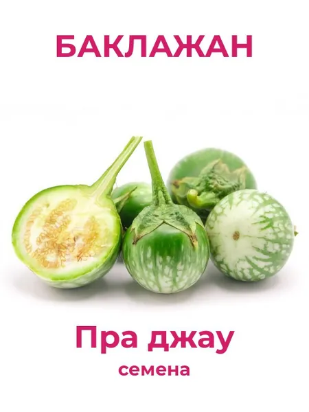 Баклажан мини Пра джау для жарки — семена, 50 шт.