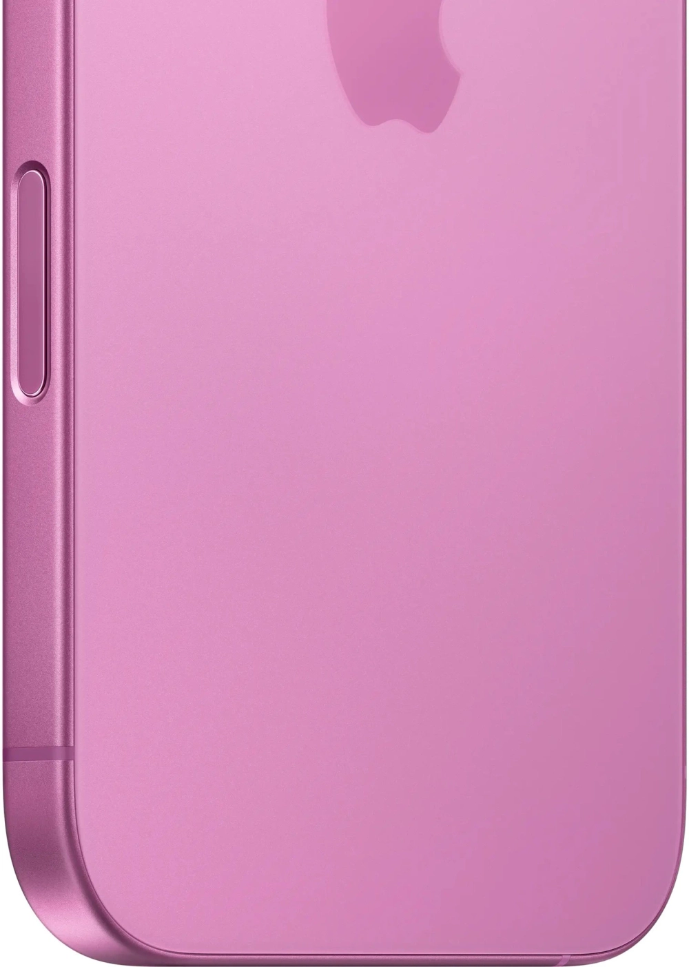 16 256 Pink