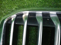 Решетка радиатора BMW X7 G07 (2019-2022)