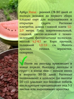 Семена Арбуз набор