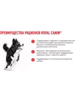 ROYAL CANIN MEDIUM ADULT PRO (РОЯЛ КАНИН МЕДИУМ ЭДАЛТ) корм сухой для собак Medium Adult 20 кг.