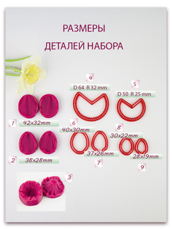 Нарцисс. Набор 2. Крупный