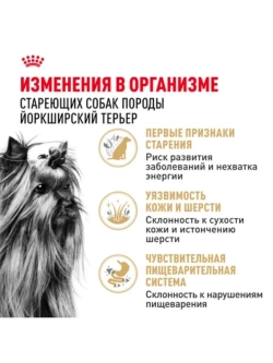 Yorkshire Terrier Ageing 8+ Корм для собак 1,5кг