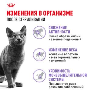 Сухой корм Royal Canin Sterilised 37 для взрослых стерилизованных кошек