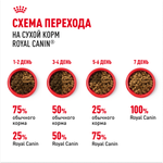 Royal Canin Sphynx Adult Сфинкс Эдалт Корм сухой сбалансированный для взрослых кошек породы Сфинкс от 12 месяцев 10кг