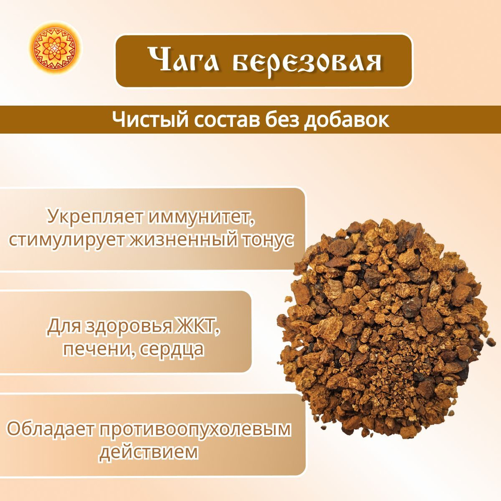 Чага березовая