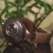 Focal Clear MG
