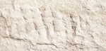 Гибкая керамика PHOMI, коллекция DEVINE MUSHROOM STONE
